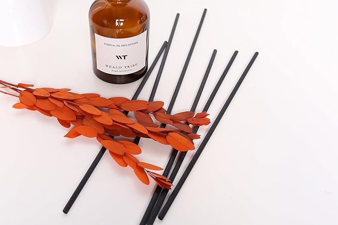 WEALD TRIBE Reed Diffuser Set for Bathroom Air Fresheners, Oil Diffuser Sticks | Sandalwood & Ebony Scent 4.0 fl oz Home Fragrance with Sticks Defusers | House Bedroom Office Shelf Decor